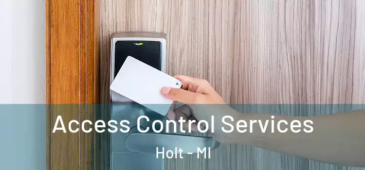 Access Control Services Holt - MI