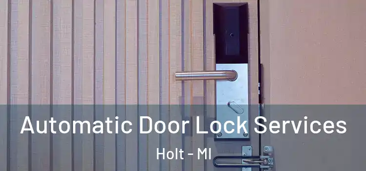 Automatic Door Lock Services Holt - MI