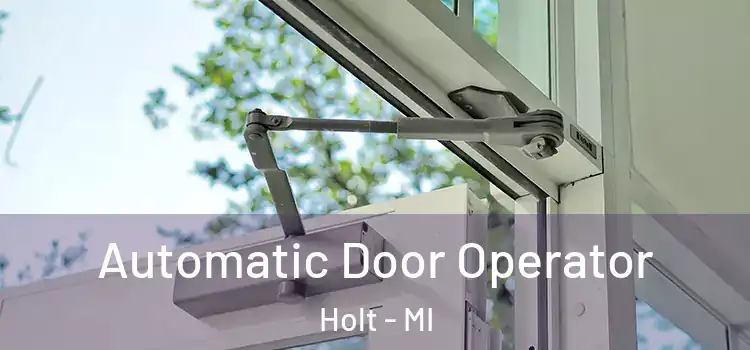 Automatic Door Operator Holt - MI