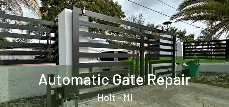 Automatic Gate Repair Holt - MI