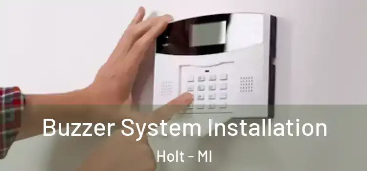 Buzzer System Installation Holt - MI