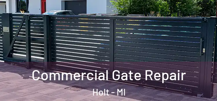 Commercial Gate Repair Holt - MI