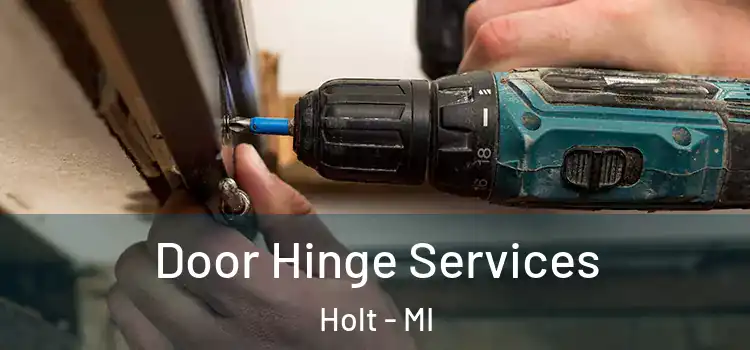 Door Hinge Services Holt - MI