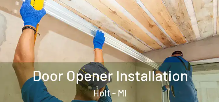 Door Opener Installation Holt - MI