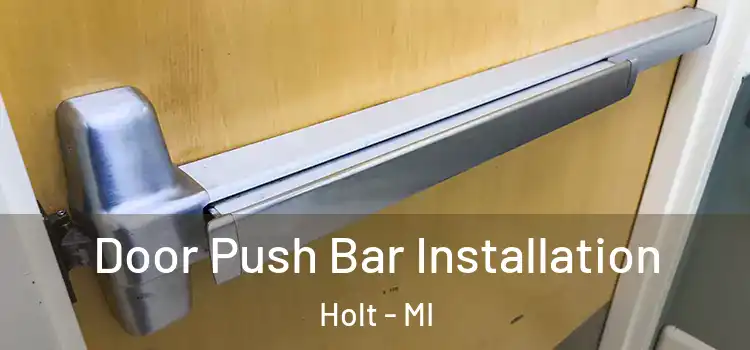 Door Push Bar Installation Holt - MI