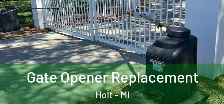Gate Opener Replacement Holt - MI
