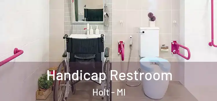 Handicap Restroom Holt - MI