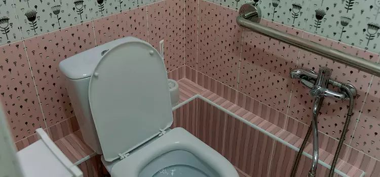 Meeting Diverse Needs With Accessible Restroom Solutions in Holt, MI