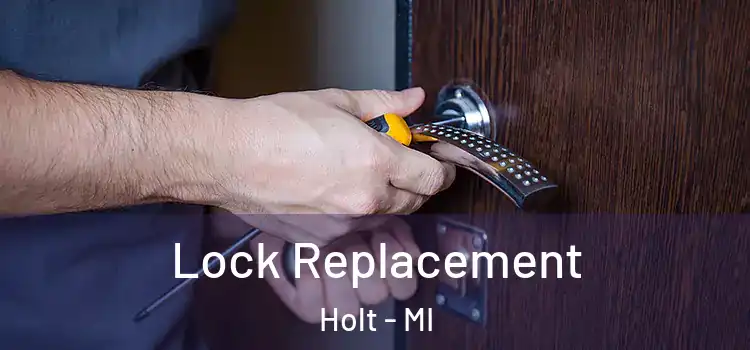 Lock Replacement Holt - MI