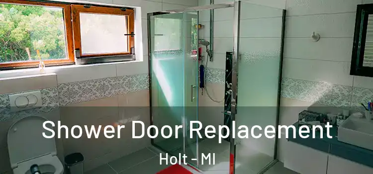 Shower Door Replacement Holt - MI