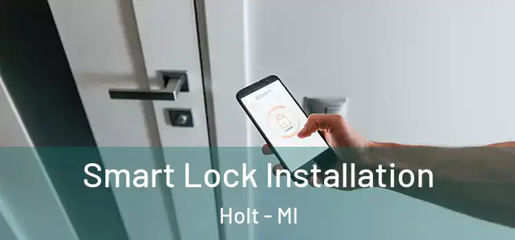 Smart Lock Installation Holt - MI